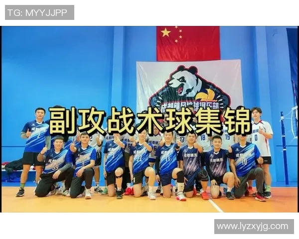 杭州排球队反击战术解析与实战应用探讨
