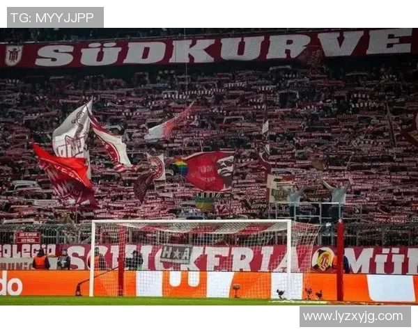 波尔图与本菲卡激战正酣赛果揭晓引发球迷热议