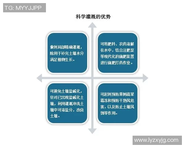 深入探讨VS2012与C11标准的兼容性及其在现代开发中的应用潜力
