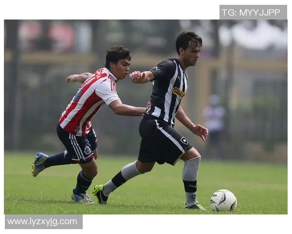 博塔弗戈与弗球队对决精彩纷呈谁能在赛场上笑到最后