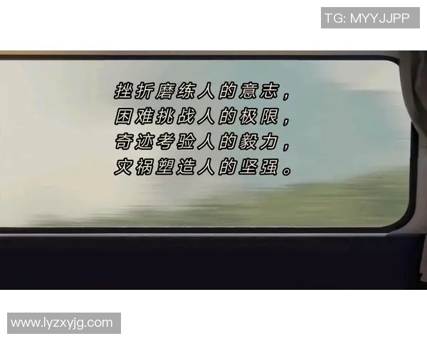 王少杰：从平凡到卓越的奋斗故事与人生启示