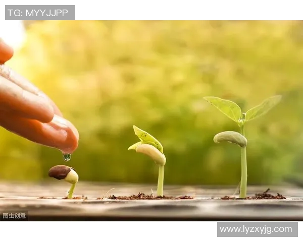 简单聊天室与复杂社交平台的对比分析及其对用户体验的影响探讨